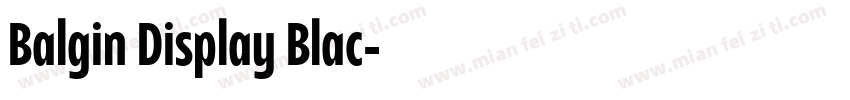 Balgin Display Blac字体转换